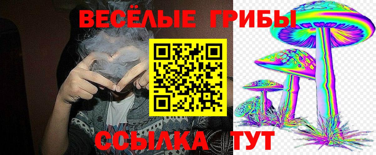 Псилоцибиновые грибы Cubensis  Вход с VPN  Борисоглебск  даркнет сайт  Псилоцибиновые грибы Cubensis 